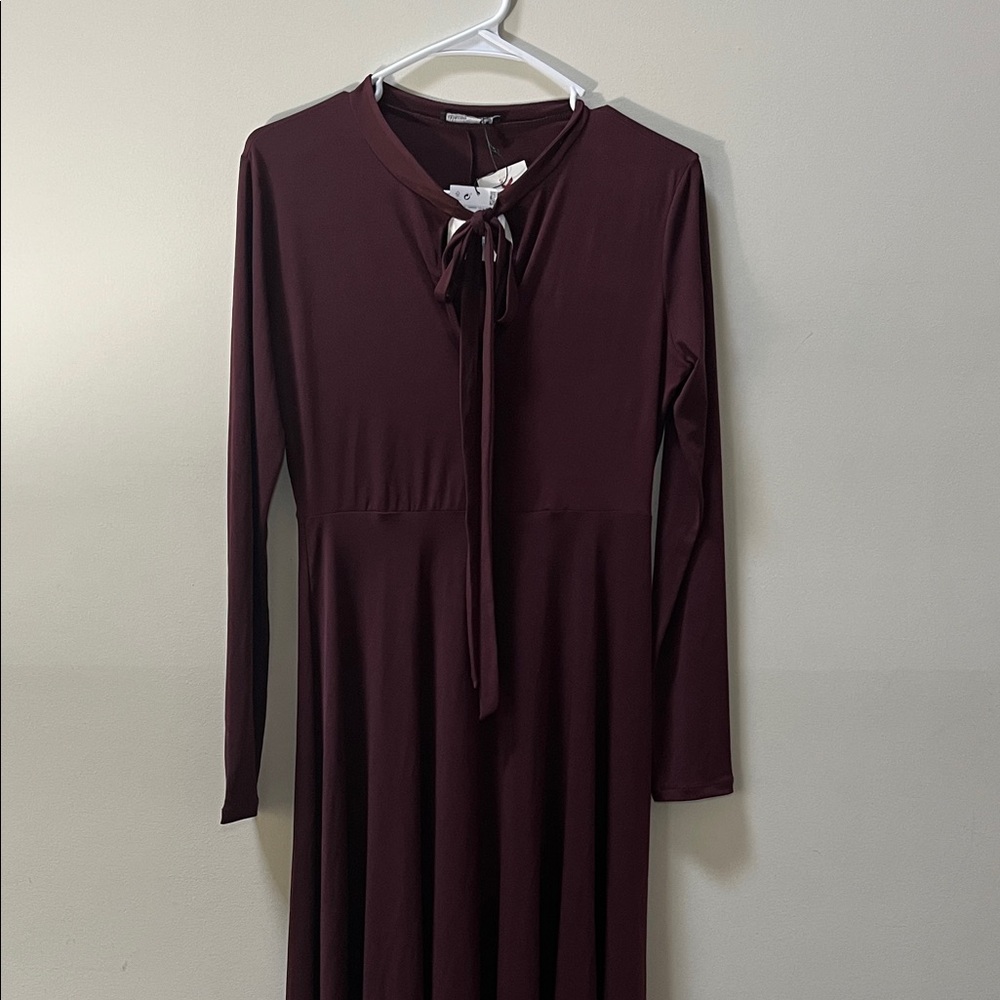 Zara Deep Burgundy Long Sleeve Dress